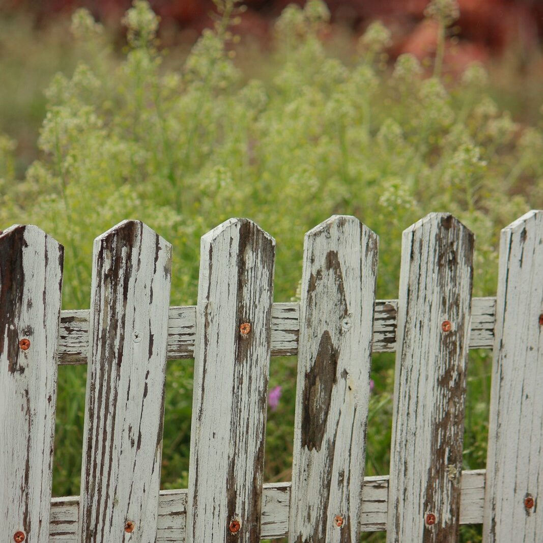 selective focus photography of wooden fence