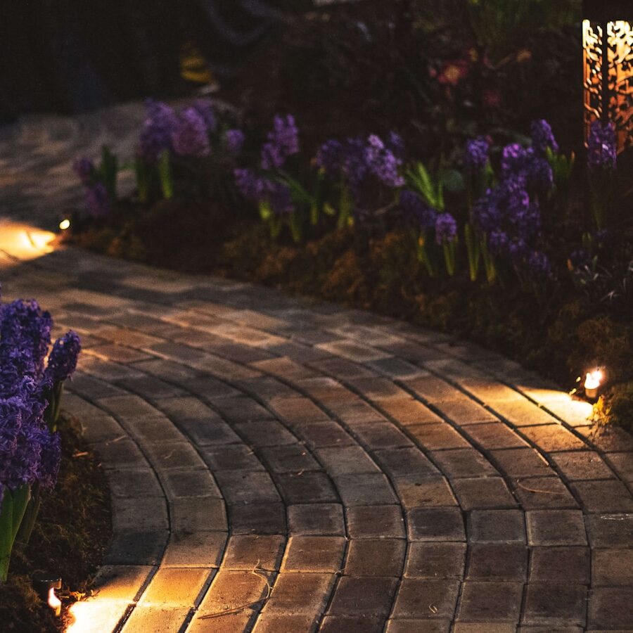 purple flowers on brown wooden table