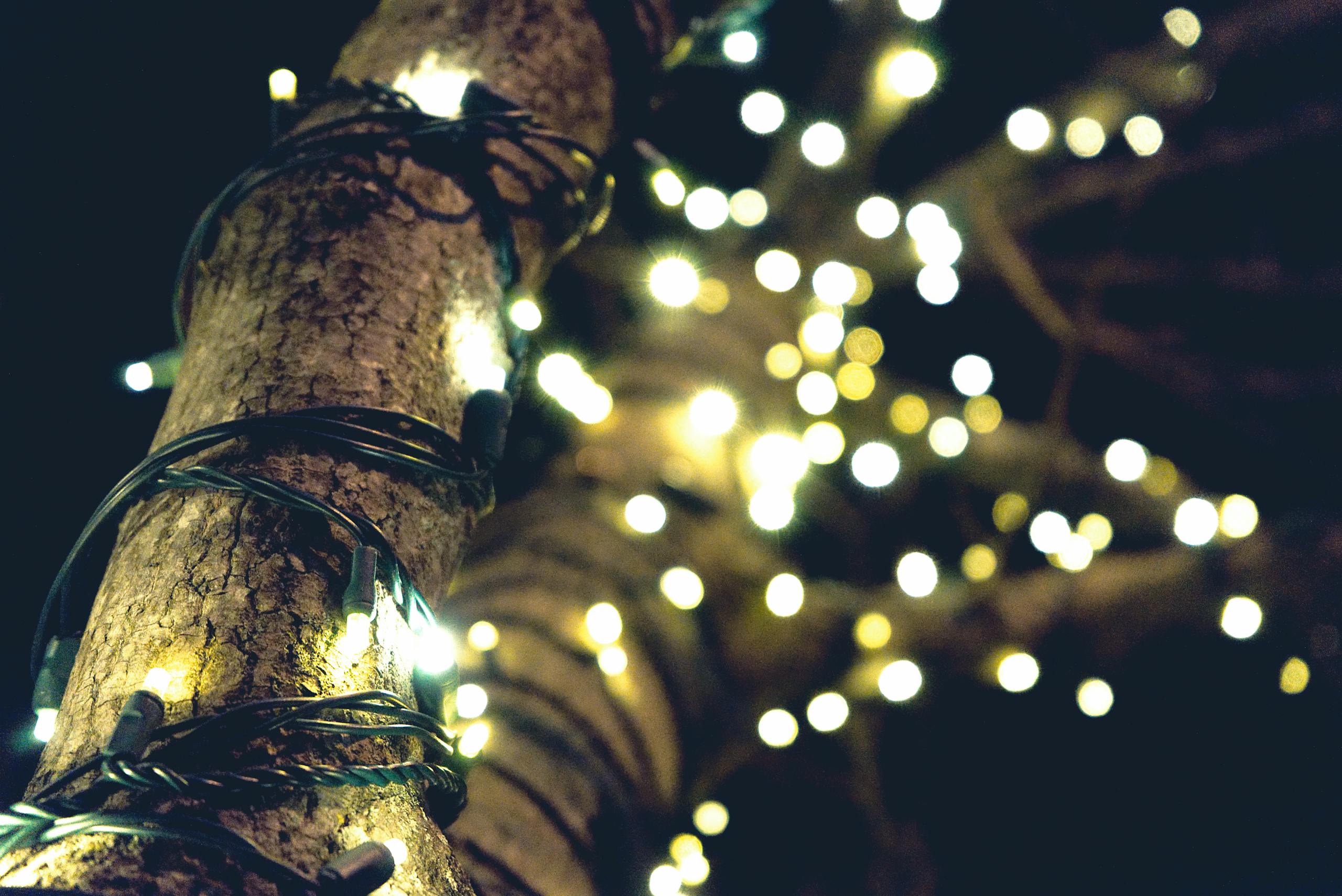 Decorative lights wrapped around a tree trunk create a festive, glowing ambiance at night.